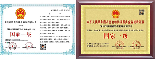 权威资质3